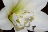 Filename=648_fotowilga.JPG
Filesize=102KB
Dimensions=720x480
Date added=Mar 14, 2012 648_fotowilga.JPG