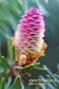Filename=648_fotowilga~0.JPG
Filesize=90KB
Dimensions=360x540
Date added=Jun 15, 2012 648_fotowilga~0.JPG
