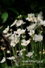 Filename=650_fotowilga~0.JPG
Filesize=75KB
Dimensions=360x540
Date added=Jul 28, 2012 650_fotowilga~0.JPG