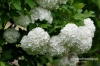 Filename=652_fotowilga~0.JPG
Filesize=125KB
Dimensions=720x480
Date added=Jul 18, 2012 652_fotowilga~0.JPG