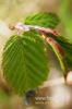 Filename=676_fotowilga.JPG
Filesize=82KB
Dimensions=360x540
Date added=Jun 19, 2012 676_fotowilga.JPG