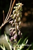 Filename=737_fotowilga.JPG
Filesize=100KB
Dimensions=360x540
Date added=Jun 16, 2012 737_fotowilga.JPG