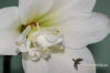 Filename=754_fotowilga.JPG
Filesize=109KB
Dimensions=720x480
Date added=Mar 16, 2012 754_fotowilga.JPG