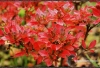 Filename=760_fotowilga.JPG
Filesize=156KB
Dimensions=720x495
Date added=Nov 14, 2011 760_fotowilga.JPG