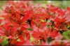 Filename=761_fotowilga.JPG
Filesize=144KB
Dimensions=720x480
Date added=Nov 14, 2011 761_fotowilga.JPG