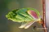 Filename=762_fotowilga.JPG
Filesize=110KB
Dimensions=720x480
Date added=Jun 17, 2012 762_fotowilga.JPG