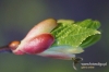 Filename=766_fotowilga.JPG
Filesize=102KB
Dimensions=720x480
Date added=Jun 17, 2012 766_fotowilga.JPG