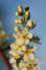Filename=775_fotowilga.JPG
Filesize=77KB
Dimensions=360x540
Date added=Jun 17, 2012 775_fotowilga.JPG