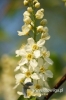 Filename=777_fotowilga.JPG
Filesize=83KB
Dimensions=360x540
Date added=Jun 16, 2012 777_fotowilga.JPG