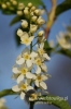 Filename=784_fotowilga.JPG
Filesize=83KB
Dimensions=360x540
Date added=Jun 14, 2012 784_fotowilga.JPG