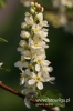Filename=787_fotowilga.JPG
Filesize=82KB
Dimensions=360x540
Date added=Jun 13, 2012 787_fotowilga.JPG