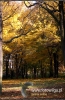 Filename=808_fotowilga.JPG
Filesize=142KB
Dimensions=353x540
Date added=Nov 15, 2011 808_fotowilga.JPG