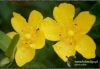 Filename=811_fotowilga.jpg
Filesize=116KB
Dimensions=720x497
Date added=Jan 16, 2012 811_fotowilga.jpg