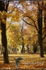 Filename=812_fotowilga.JPG
Filesize=143KB
Dimensions=352x540
Date added=Nov 15, 2011 812_fotowilga.JPG