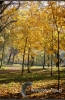 Filename=815_fotowilga.JPG
Filesize=147KB
Dimensions=352x540
Date added=Nov 15, 2011 815_fotowilga.JPG