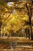 Filename=816_fotowilga.JPG
Filesize=144KB
Dimensions=353x540
Date added=Nov 16, 2011 816_fotowilga.JPG