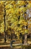 Filename=819_fotowilga.JPG
Filesize=151KB
Dimensions=353x540
Date added=Nov 16, 2011 819_fotowilga.JPG