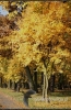 Filename=821_fotowilga.JPG
Filesize=149KB
Dimensions=353x540
Date added=Nov 16, 2011 821_fotowilga.JPG