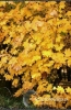 Filename=825_fotowilga.JPG
Filesize=134KB
Dimensions=352x540
Date added=Nov 19, 2011 825_fotowilga.JPG