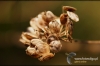 Filename=853_fotowilga.JPG
Filesize=281KB
Dimensions=720x480
Date added=Nov 13, 2011 853_fotowilga.JPG