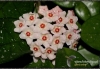 Filename=9528_fotowilga.JPG
Filesize=335KB
Dimensions=720x497
Date added=Dec 12, 2011 9528_fotowilga.JPG