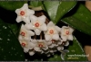 Filename=9529_fotowilga.JPG
Filesize=326KB
Dimensions=720x497
Date added=Dec 12, 2011 9529_fotowilga.JPG