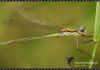 Filename=964_fotowilga.jpg
Filesize=108KB
Dimensions=720x504
Date added=Jan 19, 2012 964_fotowilga.jpg