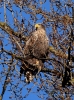 Filename=000000105_fotowilga.JPG
Filesize=448KB
Dimensions=523x700
Date added=Mar 30, 2023 000000105_fotowilga.JPG