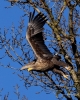 Filename=000000107_fotowilga.JPG
Filesize=406KB
Dimensions=563x700
Date added=Mar 22, 2023 000000107_fotowilga.JPG