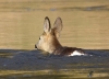 Filename=000000241_fotowilga.JPG
Filesize=240KB
Dimensions=700x504
Date added=Mar 17, 2023 000000241_fotowilga.JPG
