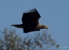 Filename=000000387_fotowilga.JPG
Filesize=212KB
Dimensions=700x516
Date added=Nov 01, 2021 000000387_fotowilga.JPG