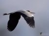 Filename=0000004_fotowilga~44.JPG
Filesize=213KB
Dimensions=700x525
Date added=Nov 04, 2019 0000004_fotowilga~44.JPG