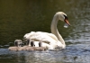 Filename=00000114_fotowilga.JPG
Filesize=268KB
Dimensions=700x492
Date added=Jul 27, 2022 00000114_fotowilga.JPG