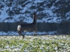 Filename=00000151_fotowilga~0.JPG
Filesize=340KB
Dimensions=700x525
Date added=Jan 23, 2021 00000151_fotowilga~0.JPG