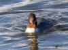 Filename=00000167_fotowilga.JPG
Filesize=342KB
Dimensions=700x521
Date added=Aug 15, 2021 00000167_fotowilga.JPG