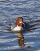Filename=00000169_fotowilga.JPG
Filesize=310KB
Dimensions=557x700
Date added=Aug 18, 2021 00000169_fotowilga.JPG