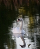 Filename=0000023_fotowilga~0.JPG
Filesize=308KB
Dimensions=568x700
Date added=Feb 19, 2022 0000023_fotowilga~0.JPG