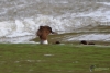 Filename=00000269_fotowilga.JPG
Filesize=271KB
Dimensions=700x474
Date added=May 16, 2021 00000269_fotowilga.JPG