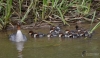 Filename=00000286_fotowilga.JPG
Filesize=284KB
Dimensions=700x409
Date added=May 16, 2021 00000286_fotowilga.JPG