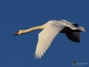 Filename=0000028_fotowilga~63.JPG
Filesize=217KB
Dimensions=700x525
Date added=Dec 26, 2019 0000028_fotowilga~63.JPG