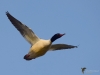 Filename=00000291_fotowilga~43.JPG
Filesize=189KB
Dimensions=700x525
Date added=Dec 16, 2019 00000291_fotowilga~43.JPG