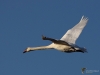 Filename=0000031_fotowilga~0.JPG
Filesize=242KB
Dimensions=700x525
Date added=Oct 19, 2020 0000031_fotowilga~0.JPG