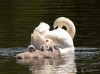 Filename=00000362_fotowilga~0.JPG
Filesize=301KB
Dimensions=700x521
Date added=Jul 31, 2022 00000362_fotowilga~0.JPG