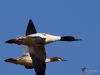 Filename=0000036_fotowilga~57.JPG
Filesize=198KB
Dimensions=700x525
Date added=Apr 01, 2019 0000036_fotowilga~57.JPG