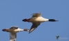 Filename=0000037_fotowilga~75.JPG
Filesize=162KB
Dimensions=700x423
Date added=Apr 01, 2019 0000037_fotowilga~75.JPG
