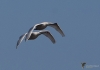 Filename=0000039_fotowilga~4.JPG
Filesize=202KB
Dimensions=700x494
Date added=Mar 17, 2021 0000039_fotowilga~4.JPG