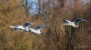 Filename=0000047_fotowilga.JPG
Filesize=285KB
Dimensions=700x385
Date added=Oct 19, 2020 0000047_fotowilga.JPG
