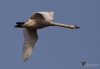 Filename=0000059_fotowilga~4.JPG
Filesize=205KB
Dimensions=700x486
Date added=Mar 17, 2021 0000059_fotowilga~4.JPG