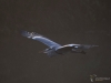 Filename=000005_fotowilga.JPG
Filesize=198KB
Dimensions=700x525
Date added=Oct 26, 2019 000005_fotowilga.JPG