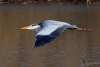 Filename=00000638_fotowilga~0.JPG
Filesize=239KB
Dimensions=700x472
Date added=Jan 30, 2023 00000638_fotowilga~0.JPG